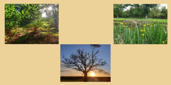 Amoureux de la nature :